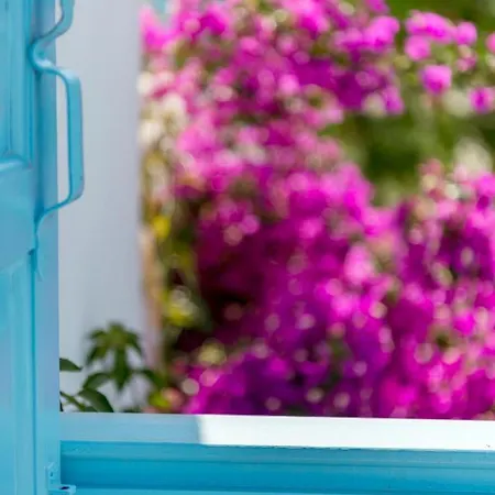 Mykonian Mews Luxury Villa Psarrou