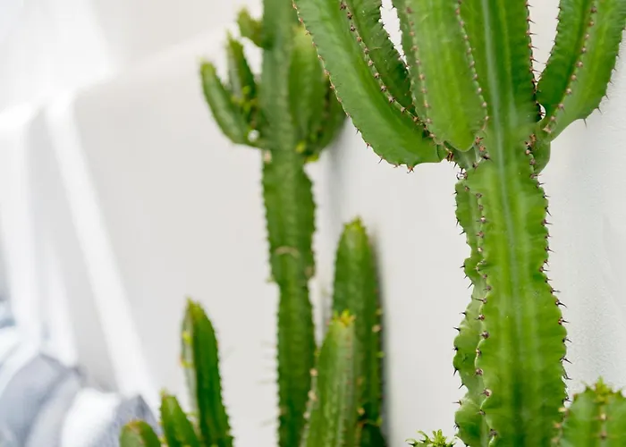 Mykonian Mews Luxury * Psarrou