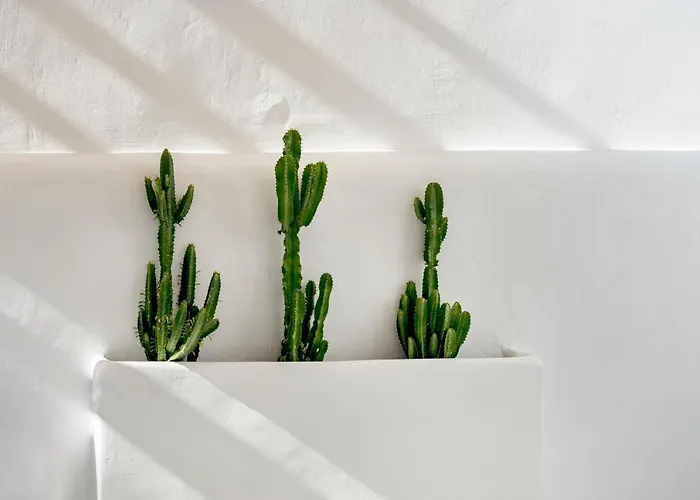 Mykonian Mews Luxury