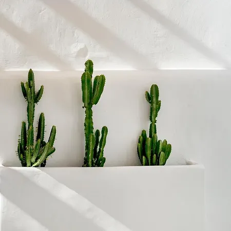 Mykonian Mews Luxury